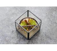 Floralcraft® 8cm Cube Glass Vases Black - Set of 12 - Plant Terrarium, Tealight Holders & Floral Display Cubes for Weddings, Events & Table Centrepieces