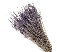 Floralcraft® Dried Lavender Bunches 2 Pack - 50cm Natural Decorative Flower Bouquets (200g, Approx. 200 Stems) for Home Décor, Crafts, Weddings & Gifts
