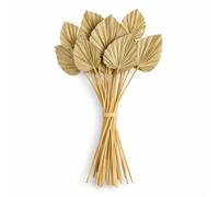 Floralcraft® Dried Palm Spear Leaves 35-40cm - Natural Boho Dried Palm Stems (15 Pack) for Weddings, Floristry & Home Décor