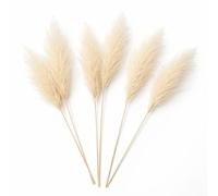 Floralcraft Natural Pampas Grass Dried Fluffy Artificial Flowers for Home Décor 85cm Pampas Grass (10 Stems) - White