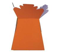 Floralcraft Orange Hand-Tied Vase Florist Bouquet Box, Presentation/Transporter Box/Flower Plant Aqua Boxes, (Pack of 5)