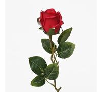 Floralcraft® Red Adelphi Rose with 3 Stems (44cm) | Ideal For Floral Arrangements Bouquets Centerpieces Home Décor Events Garden Decoration Gifting DIY Projects
