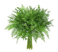 Floralsecret 20pcs Artificial Boston Fern Plants Faux Greenery Eucalyptus Stems for Home Garden Office Floral Arrangements Table Centerpieces Indoor Outdoor Decor