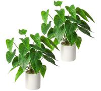 Floralsecret 2pcs Fake Plants in Pot,14" tall Artificial Faux Potted Plants with Green Leaf for Indoor Home Office Bathroom Living Room Bedroom Table Decor (Pothos)