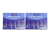 Floralys Ultra Soft Pocket Tissues - 30 Travel Packs (4-Ply) | Compact Resealable Facial Tissues for Handbag, Car & School Use (Pack of 2)