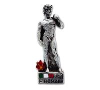 Florence 3D Magnet - Michelangelo's David - Accademia Gallery - Decorative Fridge Magnet and Magnetic Board - City of Art Souvenir 7 x 5.5 cm