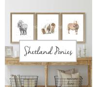 Florence and Lavender Set Of Shetland Pony Prints - A3