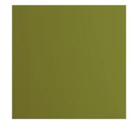 Florence Cardstock Smooth - Coloured Card Making Supplies 12 x 12 inch - Green - 20 Sheets - Coloured Paper for Scrapbooking, Card Making, Die Cutting and Paper Crafts - 216 GSM - Olive