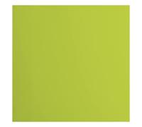 Florence Cardstock Smooth - Coloured Card Making Supplies 12 x 12 inch - Green - 20 Sheets - Coloured Paper for Scrapbooking, Card Making, Die Cutting and Paper Crafts - 216 GSM - Lime