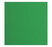 Florence Cardstock Smooth - Coloured Card Making Supplies 12 x 12 inch - Green - 20 Sheets - Coloured Paper for Scrapbooking, Card Making, Die Cutting and Paper Crafts - 216 GSM - Holly
