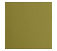 Florence Cardstock Smooth - Coloured Card Making Supplies 12 x 12 inch - Green - 20 Sheets - Coloured Paper for Scrapbooking, Card Making, Die Cutting and Paper Crafts - 216 GSM - Acacia