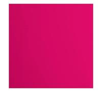 Florence Cardstock Smooth - Coloured Card Making Supplies 12 x 12 inch - Pink - 20 Sheets - Coloured Paper for Scrapbooking, Card Making, Die Cutting and Paper Crafts - 216 GSM - Raspberry