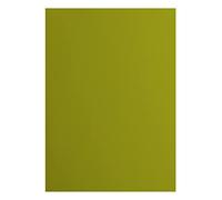 Florence Cardstock Smooth - Coloured Card Making Supplies A4 - Green - 10 Sheets - Coloured Paper for Scrapbooking, Card Making, Die Cutting and Paper Crafts - 216 GSM - Fern