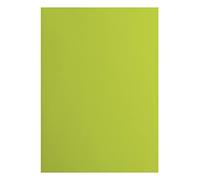 Florence Cardstock Smooth - Coloured Card Making Supplies A4 - Green - 10 Sheets - Coloured Paper for Scrapbooking, Card Making, Die Cutting and Paper Crafts - 216 GSM - Lime