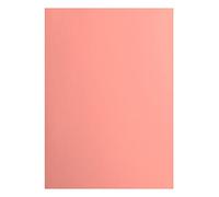 Florence Cardstock Smooth - Coloured Card Making Supplies A4 - Pink - 10 Sheets - Coloured Paper for Scrapbooking, Card Making, Die Cutting and Paper Crafts - 216 GSM - Dahlia