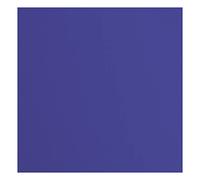 Florence Cardstock Textured - Coloured Card Making Supplies 12 x 12 inch - Blue - 20 Sheets - Coloured Paper for Scrapbooking, Card Making, Die Cutting and Paper Crafts - 216 GSM - Ink
