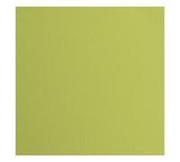 Florence Cardstock Textured - Coloured Card Making Supplies 12 x 12 inch - Green - 20 Sheets - Coloured Paper for Scrapbooking, Card Making, Die Cutting and Paper Crafts - 216 gsm - Pistachio
