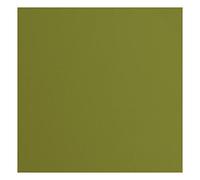 Florence Cardstock Textured - Coloured Card Making Supplies 12 x 12 inch - Green - 20 Sheets - Coloured Paper for Scrapbooking, Card Making, Die Cutting and Paper Crafts - 216 GSM - Olive