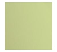 Florence Cardstock Textured - Coloured Card Making Supplies 12 x 12 inch - Green - 20 Sheets - Coloured Paper for Scrapbooking, Card Making, Die Cutting and Paper Crafts - 216 gsm - Anise