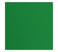 Florence Cardstock Textured - Coloured Card Making Supplies 12 x 12 inch - Green - 20 Sheets - Coloured Paper for Scrapbooking, Card Making, Die Cutting and Paper Crafts - 216 GSM - Broccoli
