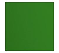Florence Cardstock Textured - Coloured Card Making Supplies 12 x 12 inch - Green - 20 Sheets - Coloured Paper for Scrapbooking, Card Making, Die Cutting and Paper Crafts - 216 GSM - Grasshopper