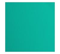 Florence Cardstock Textured - Coloured Card Making Supplies 12 x 12 inch - Green - 20 Sheets - Coloured Paper for Scrapbooking, Card Making, Die Cutting and Paper Crafts - 216 gsm - Spa
