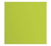 Florence Cardstock Textured - Coloured Card Making Supplies 12 x 12 inch - Green - 20 Sheets - Coloured Paper for Scrapbooking, Card Making, Die Cutting and Paper Crafts - 216 gsm - Lime