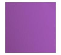 Florence Cardstock Textured - Coloured Card Making Supplies 12 x 12 inch - Purple - 20 Sheets - Coloured Paper for Scrapbooking, Card Making, Die Cutting and Paper Crafts - 216 GSM - Violet