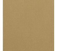 Florence Cardstock Textured - Coloured Card Making Supplies A4 - Brown - 10 Sheets - Coloured Paper for Scrapbooking, Card Making, Die Cutting and Paper Crafts - 216 GSM - Peanut