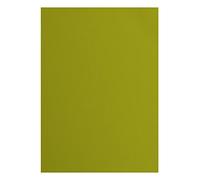 Florence Cardstock Textured - Coloured Card Making Supplies A4 - Green - 10 Sheets - Coloured Paper for Scrapbooking, Card Making, Die Cutting and Paper Crafts - 216 GSM - Fern