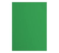 Florence Cardstock Textured - Coloured Card Making Supplies A4 - Green - 10 Sheets - Coloured Paper for Scrapbooking, Card Making, Die Cutting and Paper Crafts - 216 GSM - Holly
