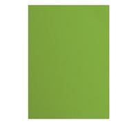 Florence Cardstock Textured - Coloured Card Making Supplies A4 - Green - 10 Sheets - Coloured Paper for Scrapbooking, Card Making, Die Cutting and Paper Crafts - 216 GSM - Frog