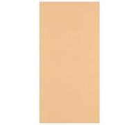 Florence Linen Cardstock Beige 250 g - Coloured Paper 10.6 x 5.3 Inches - Parchment - Card Making - Scrapbooking Supplies - Tear-Resistant - Create Elegant Invitations, Gift Boxes and Art Projects