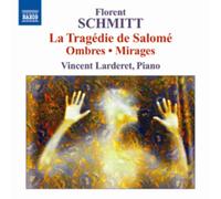 Vincent Larderet - Schmitt: Ombres