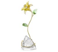 Florere Lily