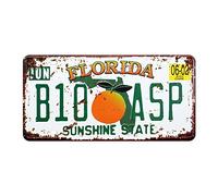 FLORIDA B10 ASP Auto License Plate Car Tag Home/Cafe Bar/Pub/Restaurant/Exhibition Wall Decor Vintage Plaque 6"x12"