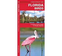 Florida Birds: A Folding Pocket Guide to Familiar Species (A Pocket Naturalist Guide)