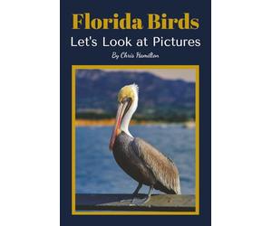 Florida Birds: Let's Look at Pictures