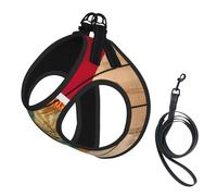Florida Flag Wood Grain Print Small Dog Harness with Leash Set, No Escape Easy Walk Puppy Harnesses for Training Walking