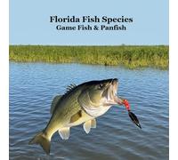 Florida Game Fish and Panfish Species Kids Book: Great Book About the Different Types of Fish in Florida