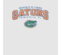 Florida Gators Men's T-Shirt - Grey - XXL