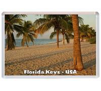 Florida Keys - USA - Palm Trees - Jumbo Fridge Magnet/Magnets BBSM1411