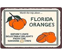 Florida Oranges Knowledge Welcome Mat Heavy Duty Door Mat Dust Grabbing Floor Mats For Front Back Door Dogs Patios 40 X 60Cm