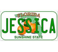 florida personalised metal sign licence plate style miami 218 license plate 6x12 inches