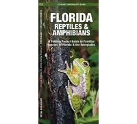Florida Reptiles & Amphibians: A Folding Pocket Guide to Familiar Species of Florida & the Everglades (A Pocket Naturalist Guide) (Nature Observation North America)