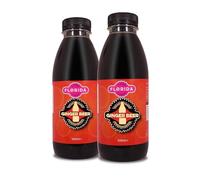 Florida Soda Syrup Compatible With Sodastream - Twin Pack, Aspartame Free (500 ml (Pack of 2), Ginger Beer)