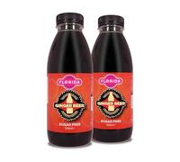 Florida Soda Syrup Compatible With Sodastream - Twin Pack, Aspartame Free & Sugar Free (500 ml (Pack of 2), Ginger Beer Sugar Free)