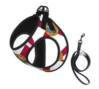 Florida State Flag Pet Leash Vest For Small Dogs Cats Reflective Adjustable Soft Outdoor Walking Hiking Training