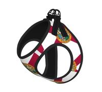 Florida State Flag Pet Leash Vest For Small Dogs Cats Reflective Adjustable Soft Outdoor Walking Hiking Training