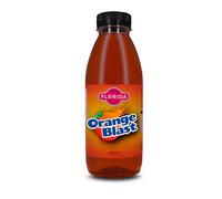 Florida Syrups Flavours Compatible with Sodastream Machines - Soda Drink Flavourings 330ml (Pack of 1), Orange Blast